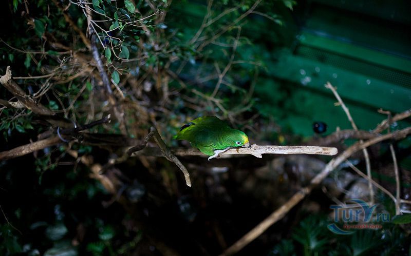 Морской дом