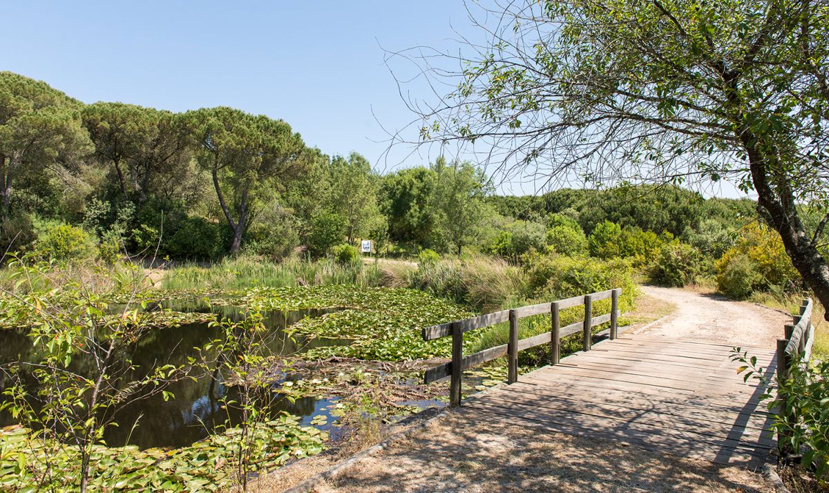 Велосипедный маршрут Монсанто