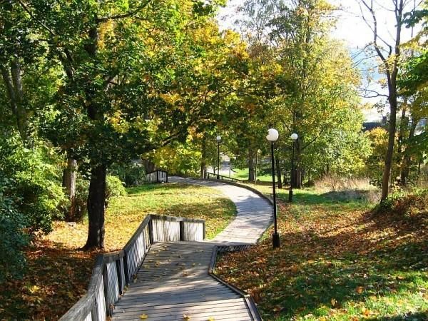 Трепимяги (Лестничная гора)