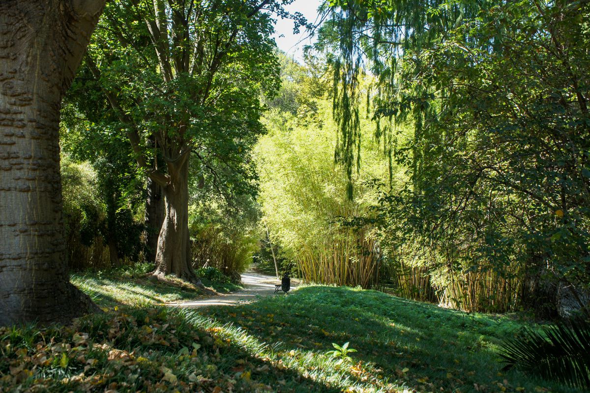 Ботанический сад Лиссабона