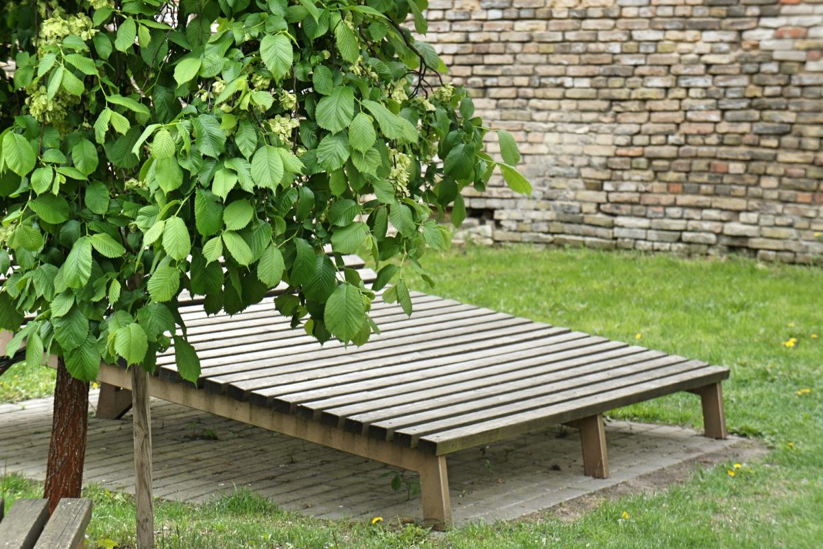 Сад Идей (Idėjų Sodas)