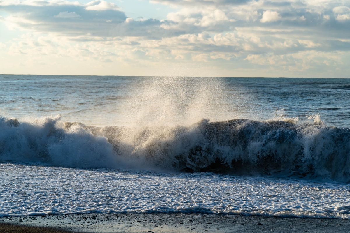 Приморский парк (Батумский бульвар)