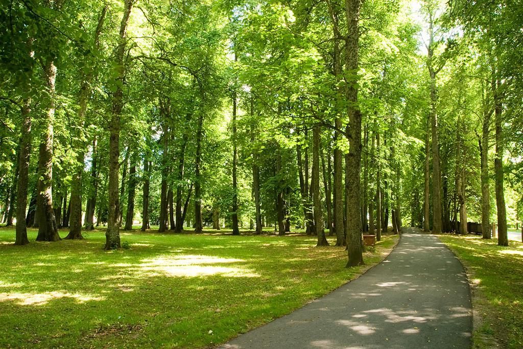 Парк Юленурме