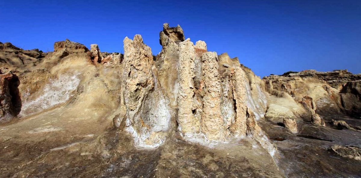 Окаменевший лес Айос-Николаос