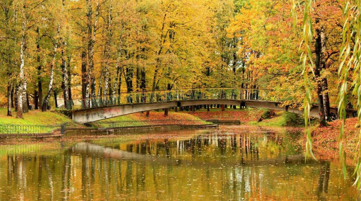 Парк Тараса Шевченко