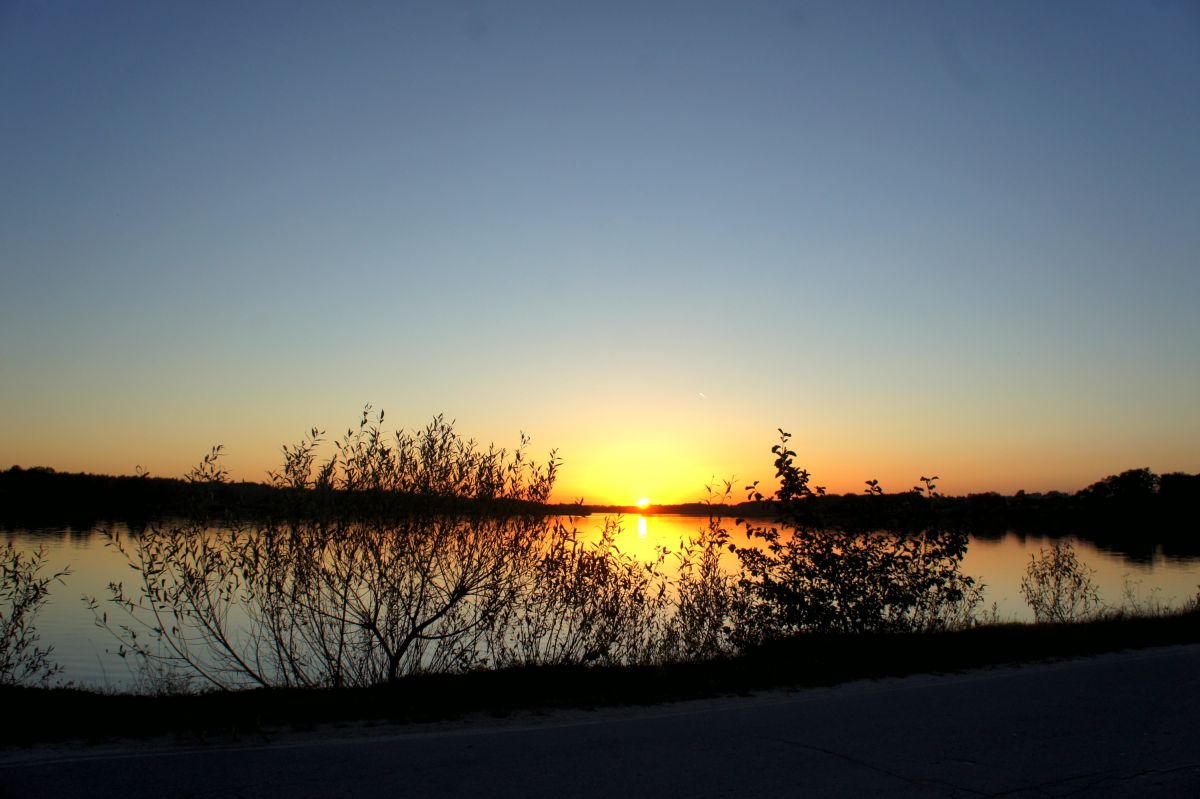 Тетеревский лес