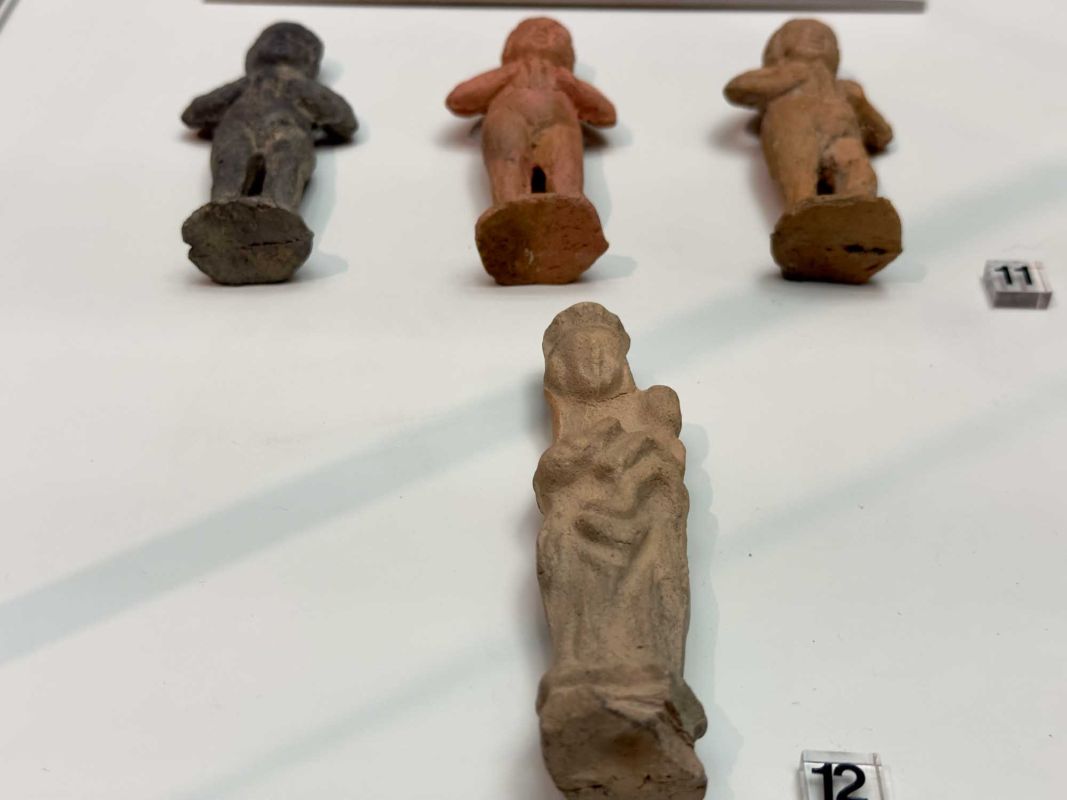 Вроцлавский археологический музей