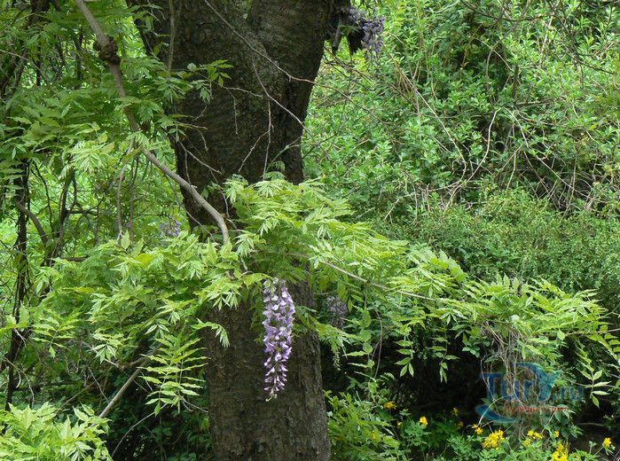 Национальный Парк Пукхансан