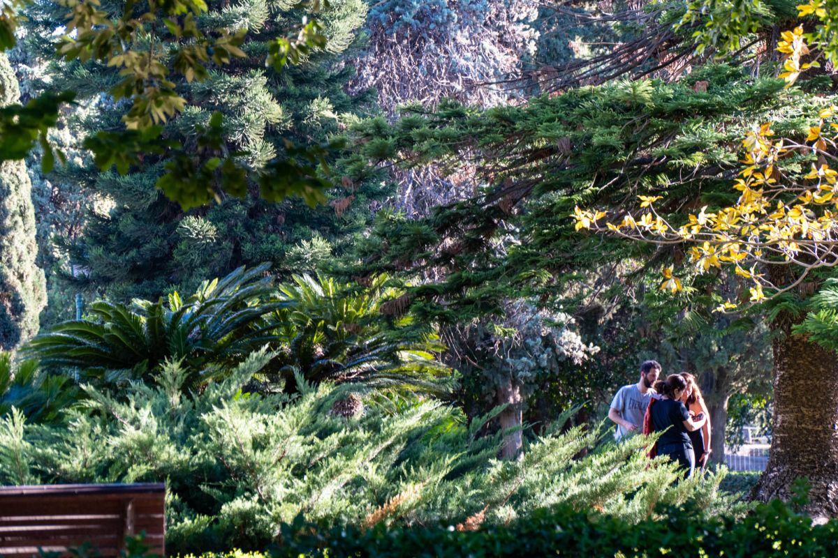 Сады дель Реал / Виверс