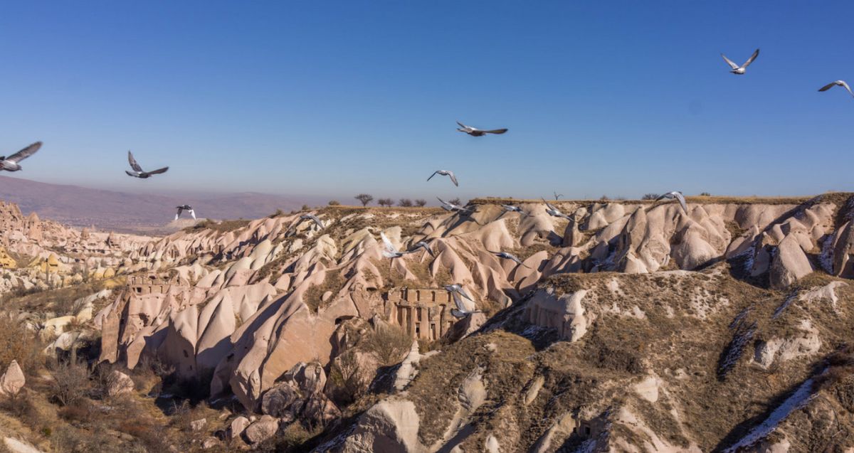 Долина Голубей 