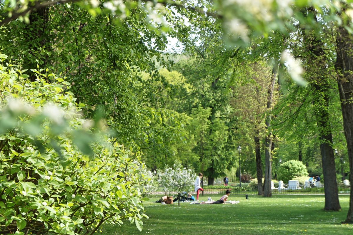 Бернардинский сад (Сад Bernardinų)