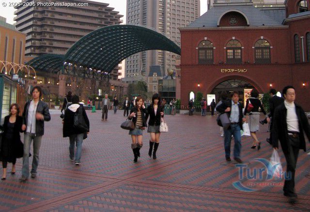 Район Эбису