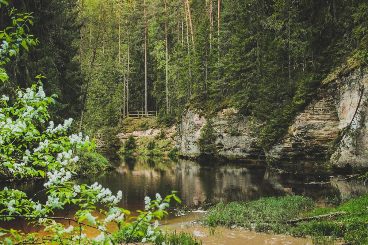 Большая Таэваскода