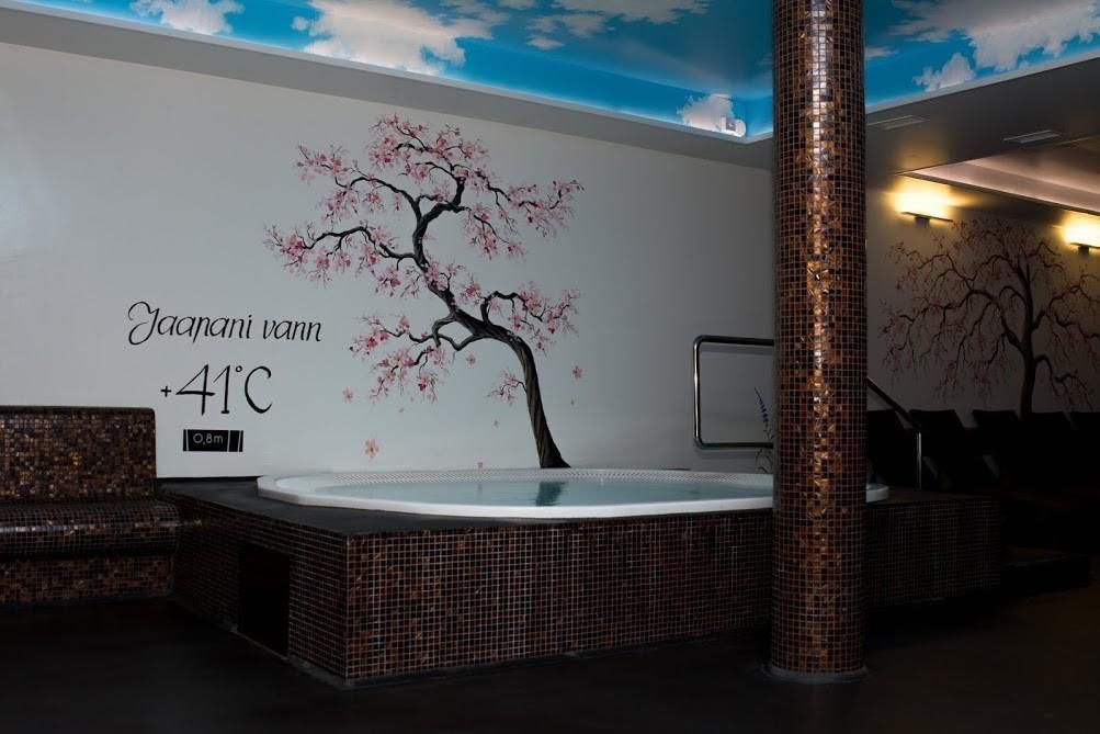 Спа-центр с банями в спа-отеле 