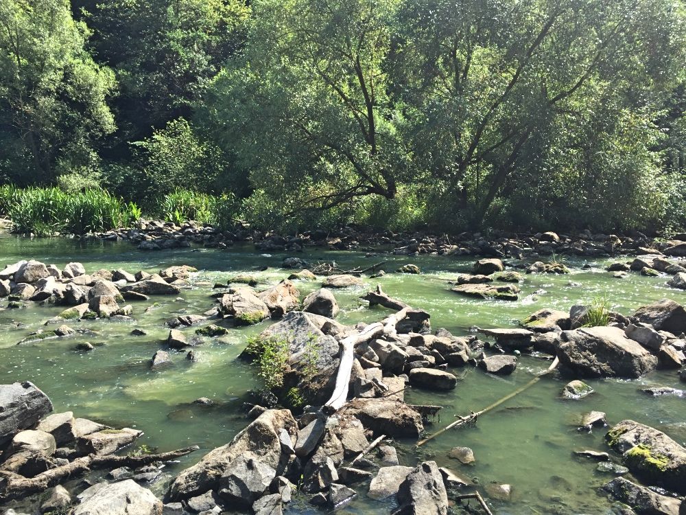 Река Тетерев