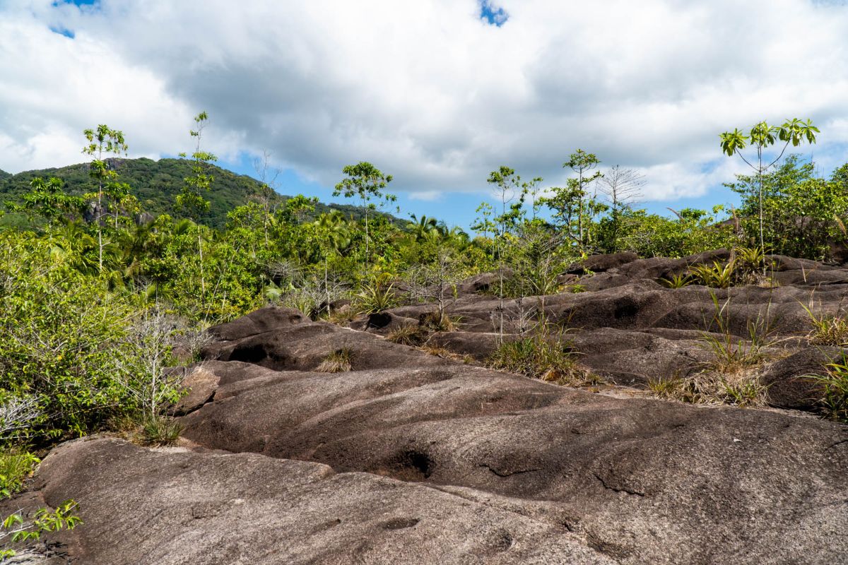 Гласис Ла Резерв Трейл