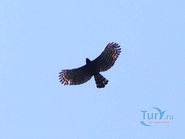 Национальный парк Гуанакасте
