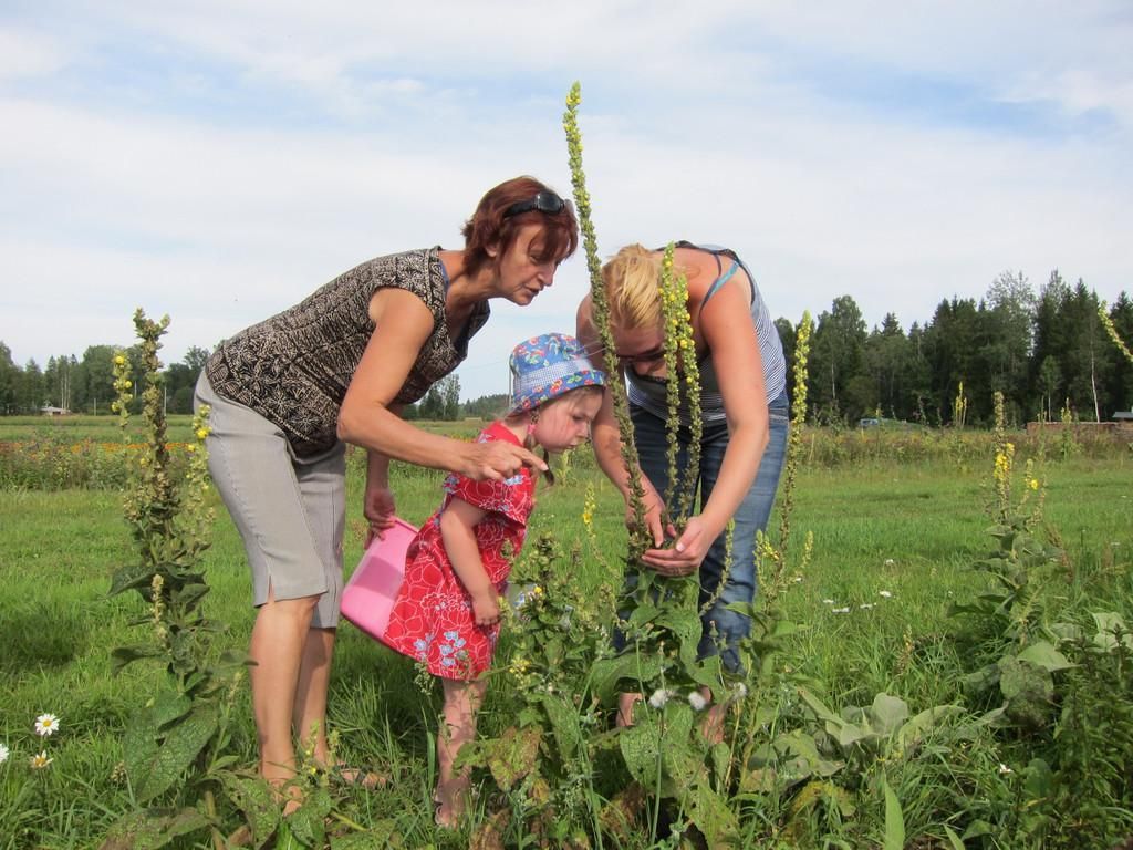 Центр лекарственных растений «Energia»