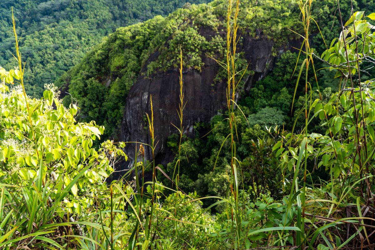 Национальный парк Морн Сейшелуа