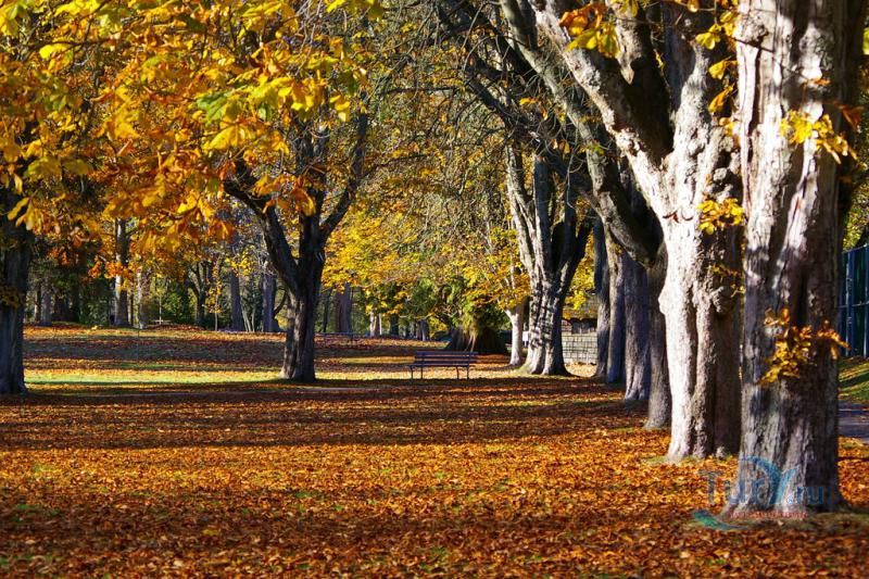 Стэнли Парк