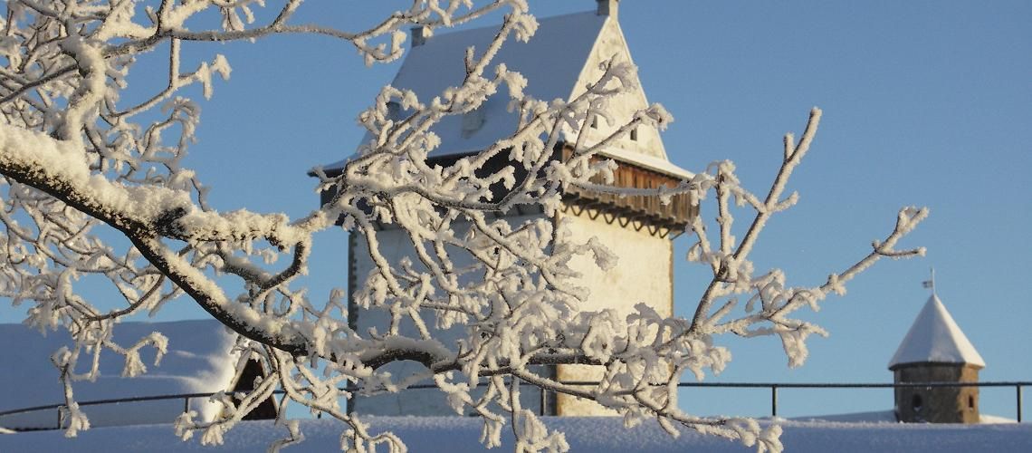 Зимние радости в Нарве фото