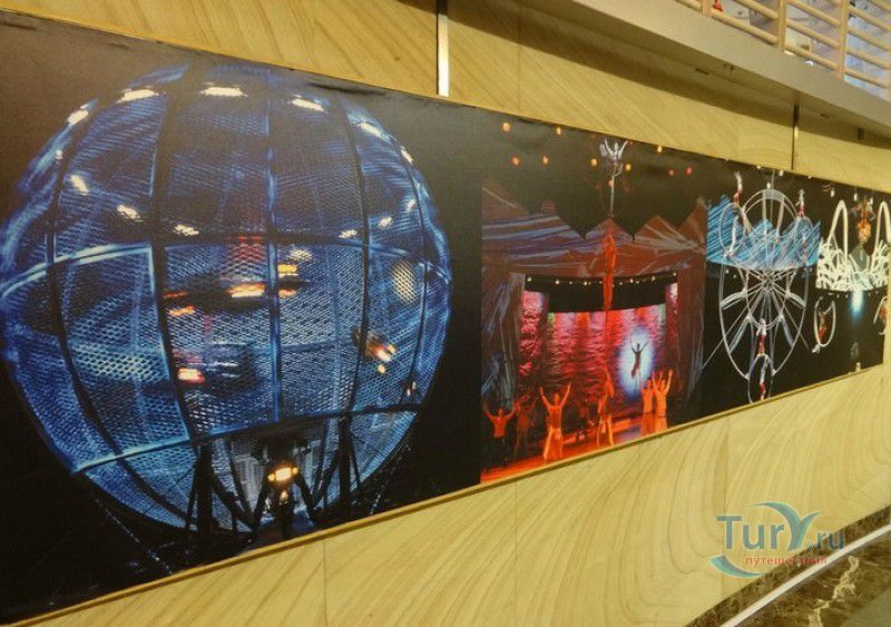 Всемирный Шанхайский Цирк