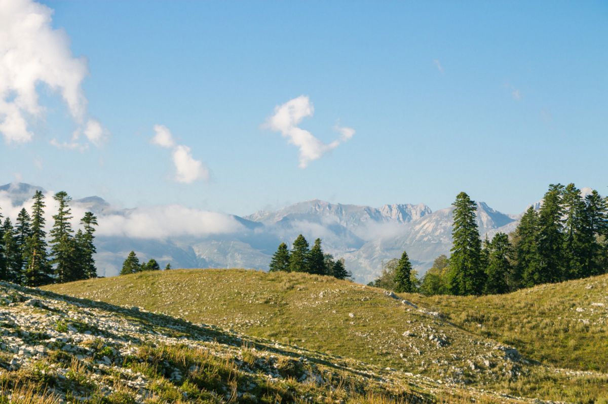 Гора Мамдзышха