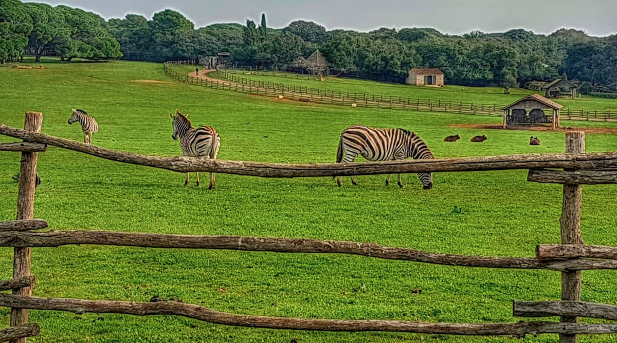 Сафари-парк Бриони