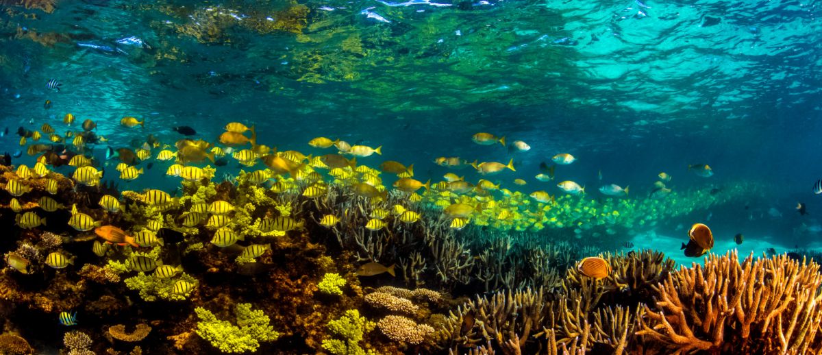 Побережье Нингалу