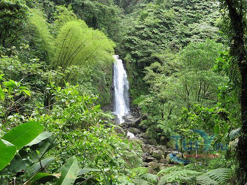 Трафальгарские водопады