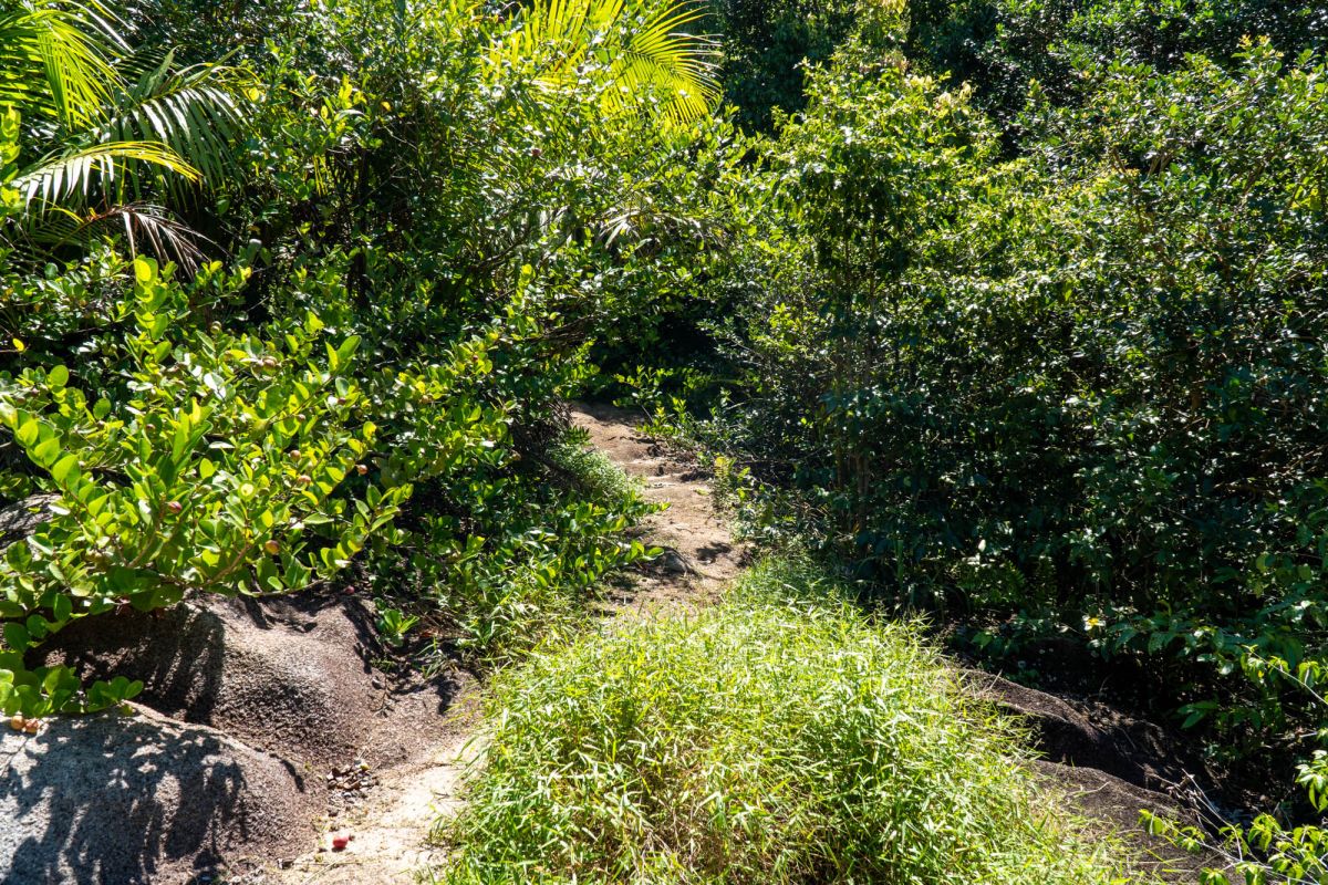 Гласис Ла Резерв Трейл