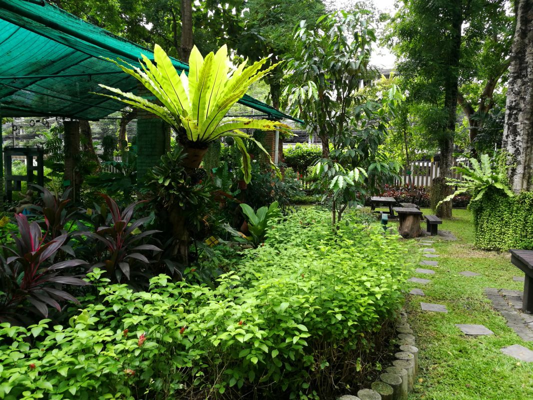 Парк Сантипап