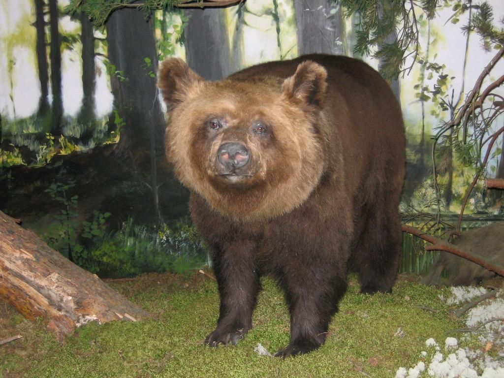 Валгаский музей