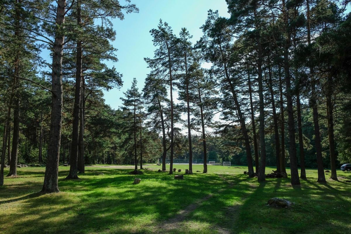 Теннисная и футбольная площадка у старого народного дома на острове Кихну
