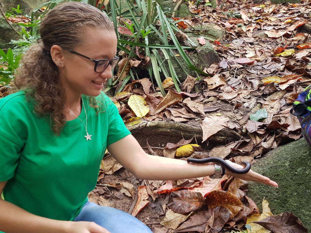 Особый заповедник Veuve