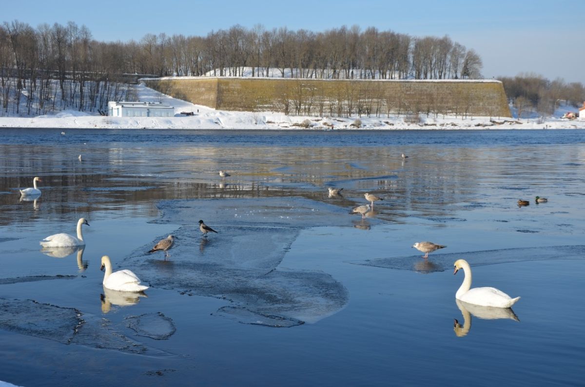 Нарвские бастионы