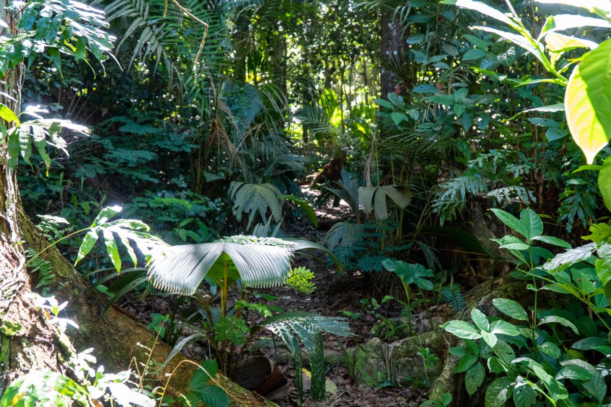 Гласис Ла Резерв Трейл