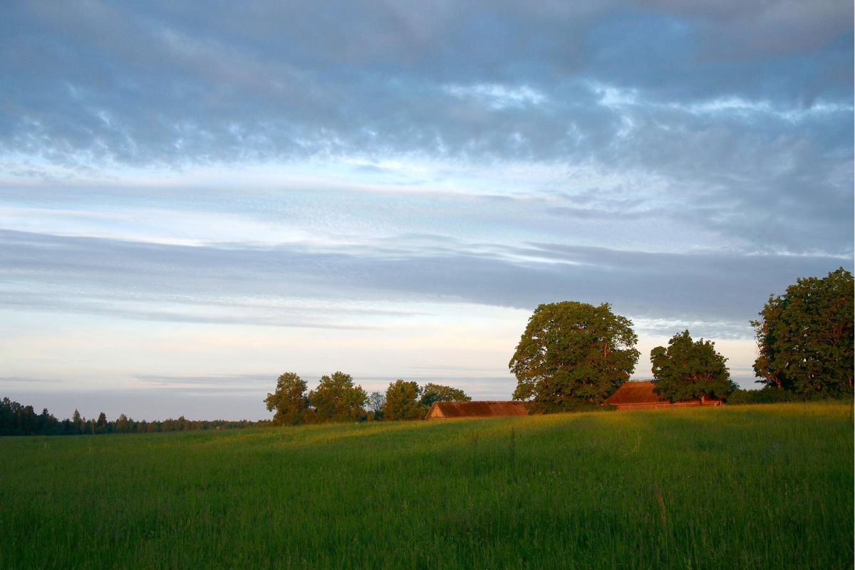 Музей Антона Хансена Таммсааре в Варгамяэ