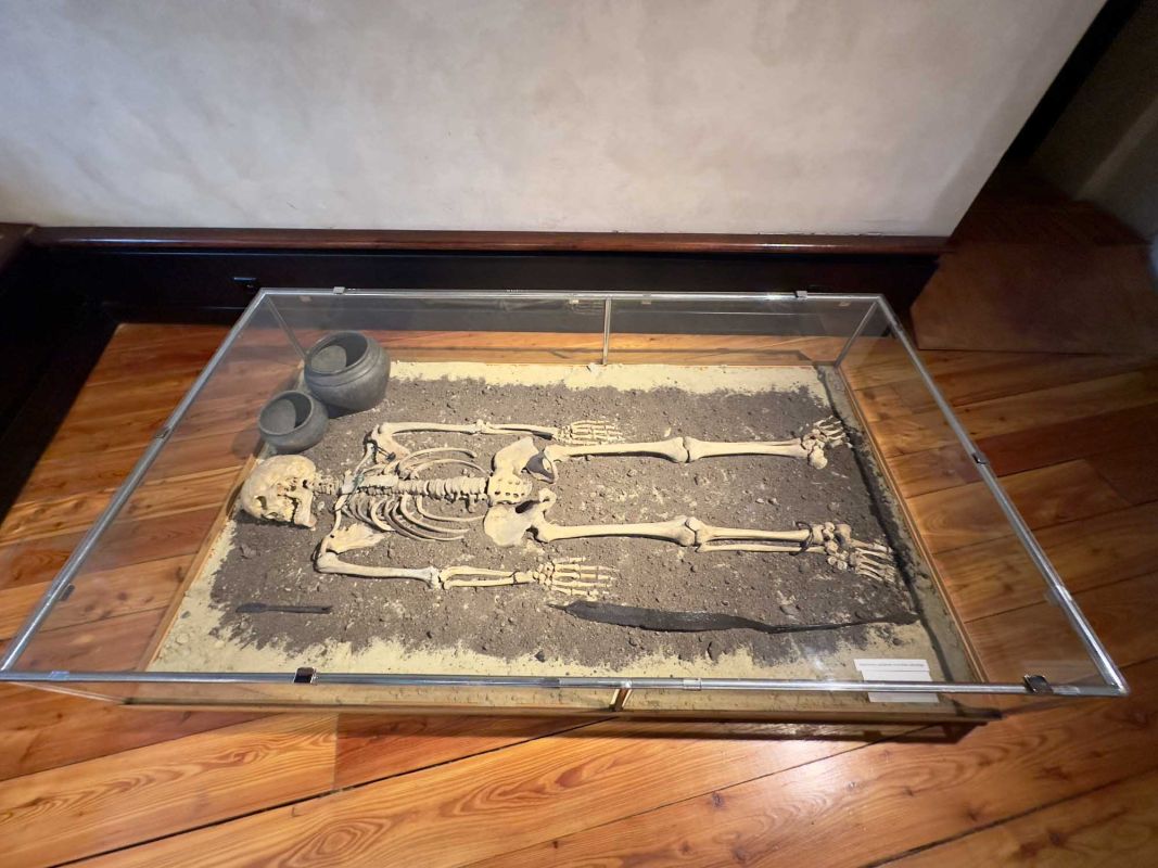 Вроцлавский археологический музей