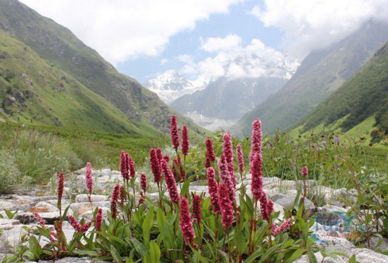 Национальный Парк Долина Цветов