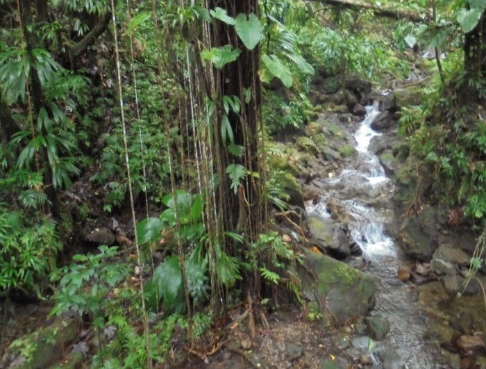 Водопады Дубик (Dubique Falls)