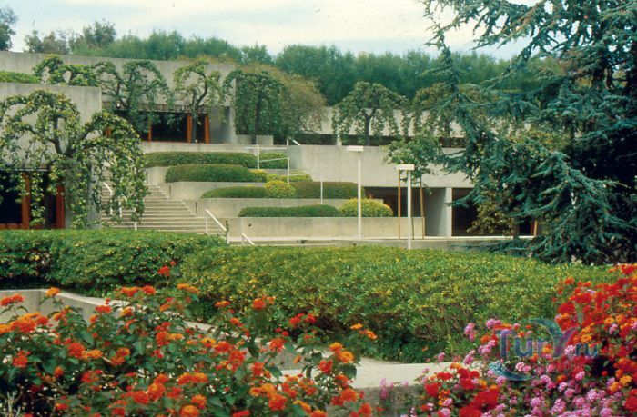 Калифорнийский музей Окленда