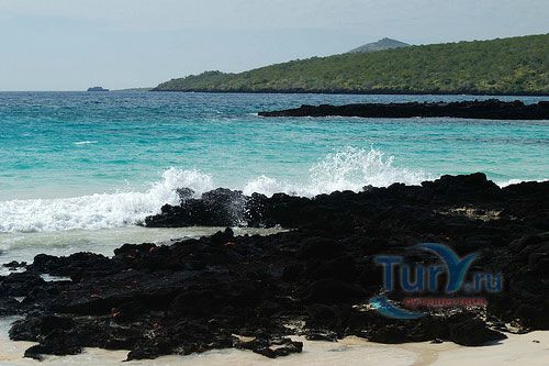 Мыс Корморант