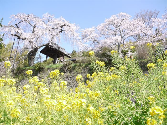 Храм Дзидзозен-ин