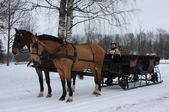 Конюшни Лаане