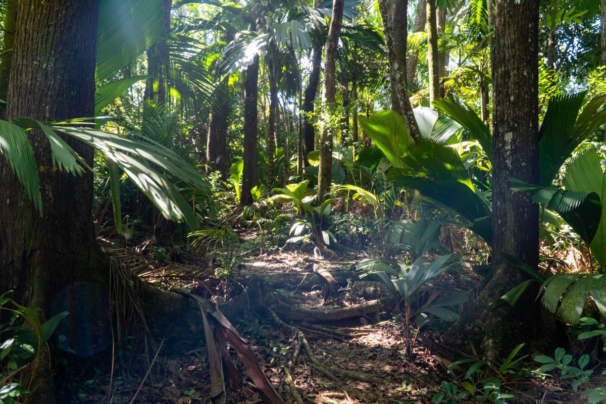 Гласис Ла Резерв Трейл