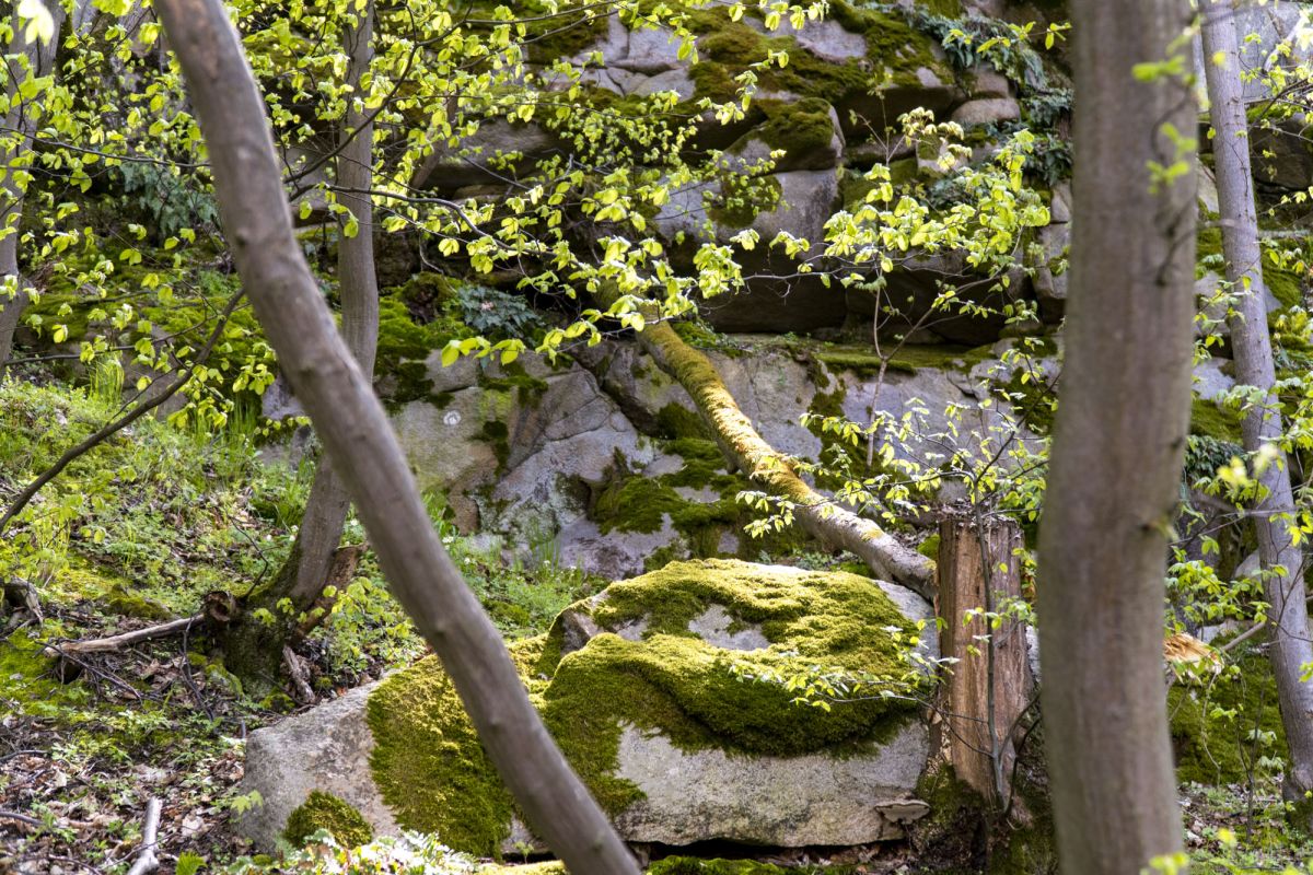 Пешеходный маршрут по южной стороне Тетерева