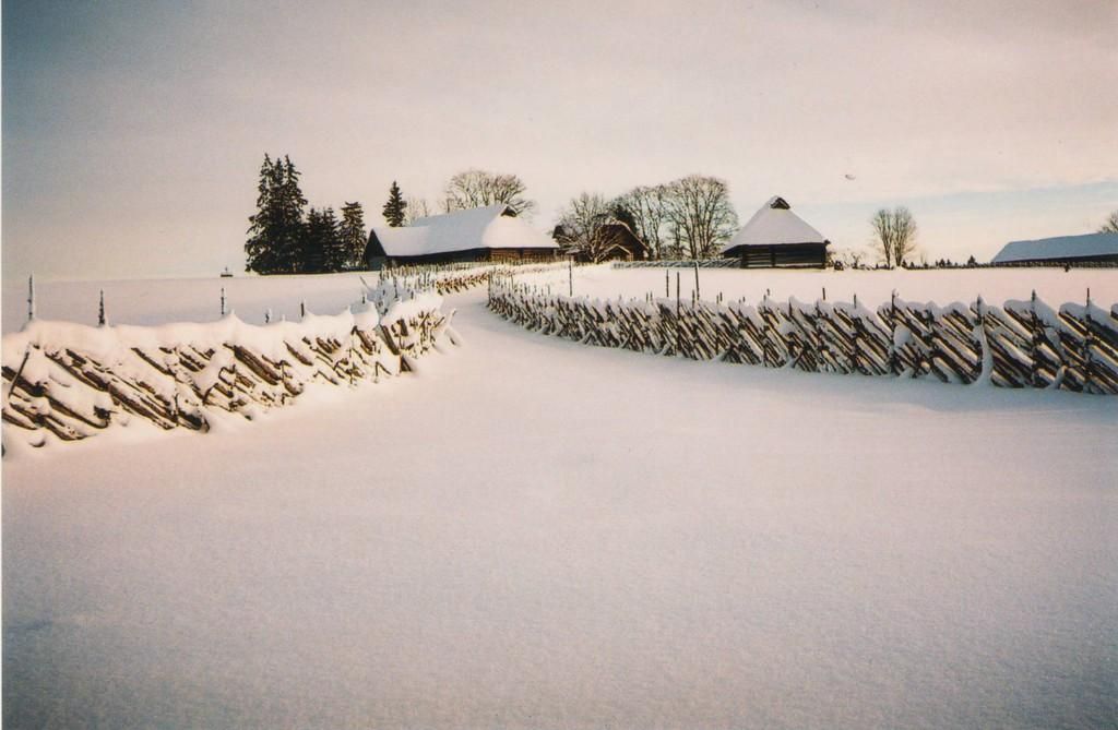 Музей Антона Хансена Таммсааре в Варгамяэ