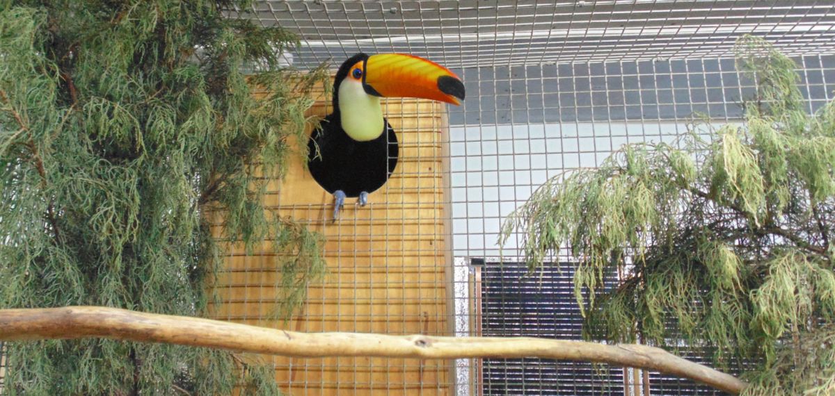 Контактный 3оопарк Мир животных