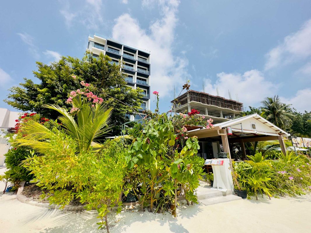 Triton Indian Restaurant